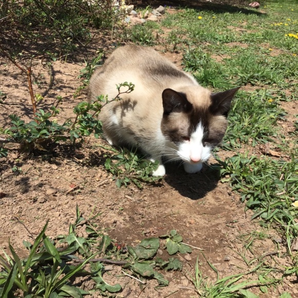 Meet your Posher, Susanne - Picture 15 of 16